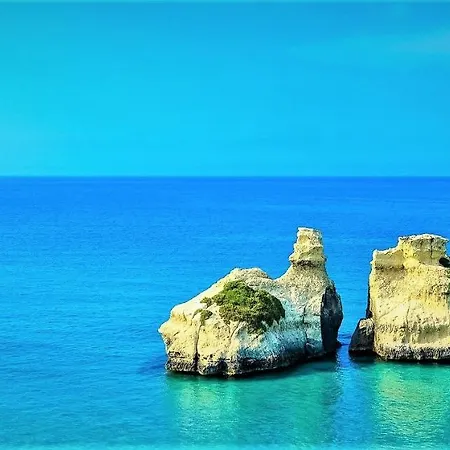 Bed and Breakfast La Nicchiarica 4*