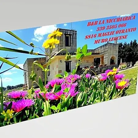 Bed & Breakfast La Nicchiarica