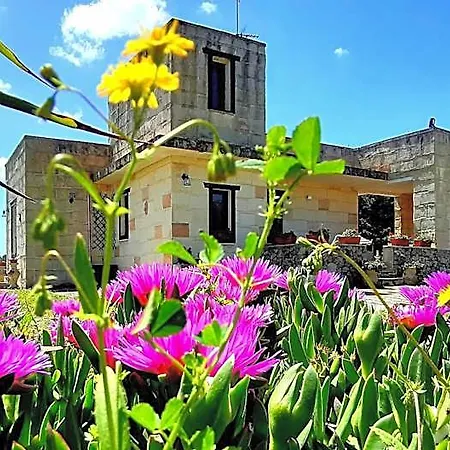 Bed & Breakfast La Nicchiarica Muro Leccese