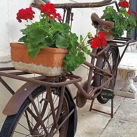 Bed & Breakfast La Nicchiarica